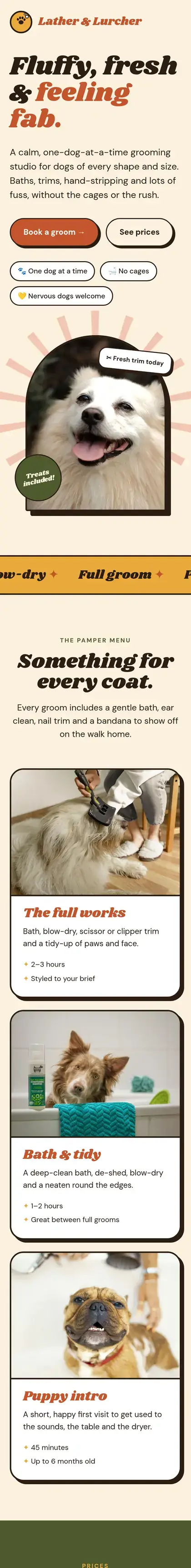 Example dog groomer website design on a phone